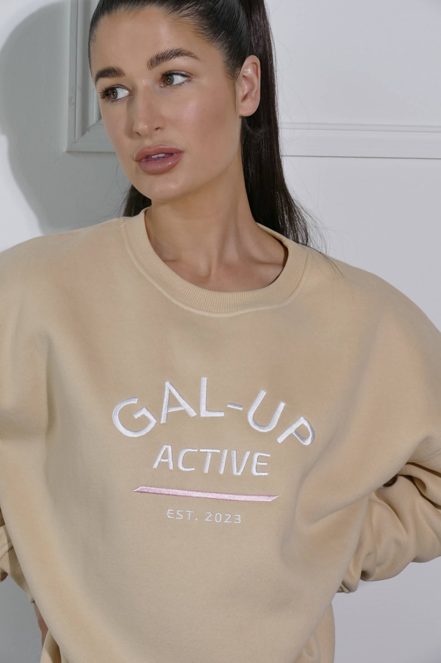 Fleece Lined Sweatshirt In Warm Sand