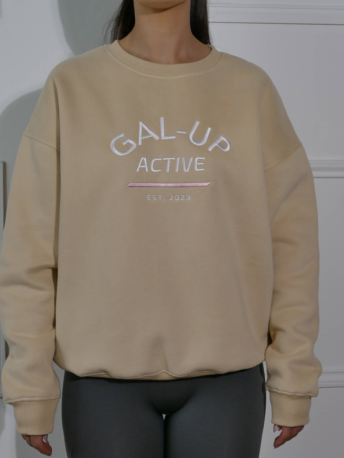 Fleece Lined Sweatshirt In Warm Sand