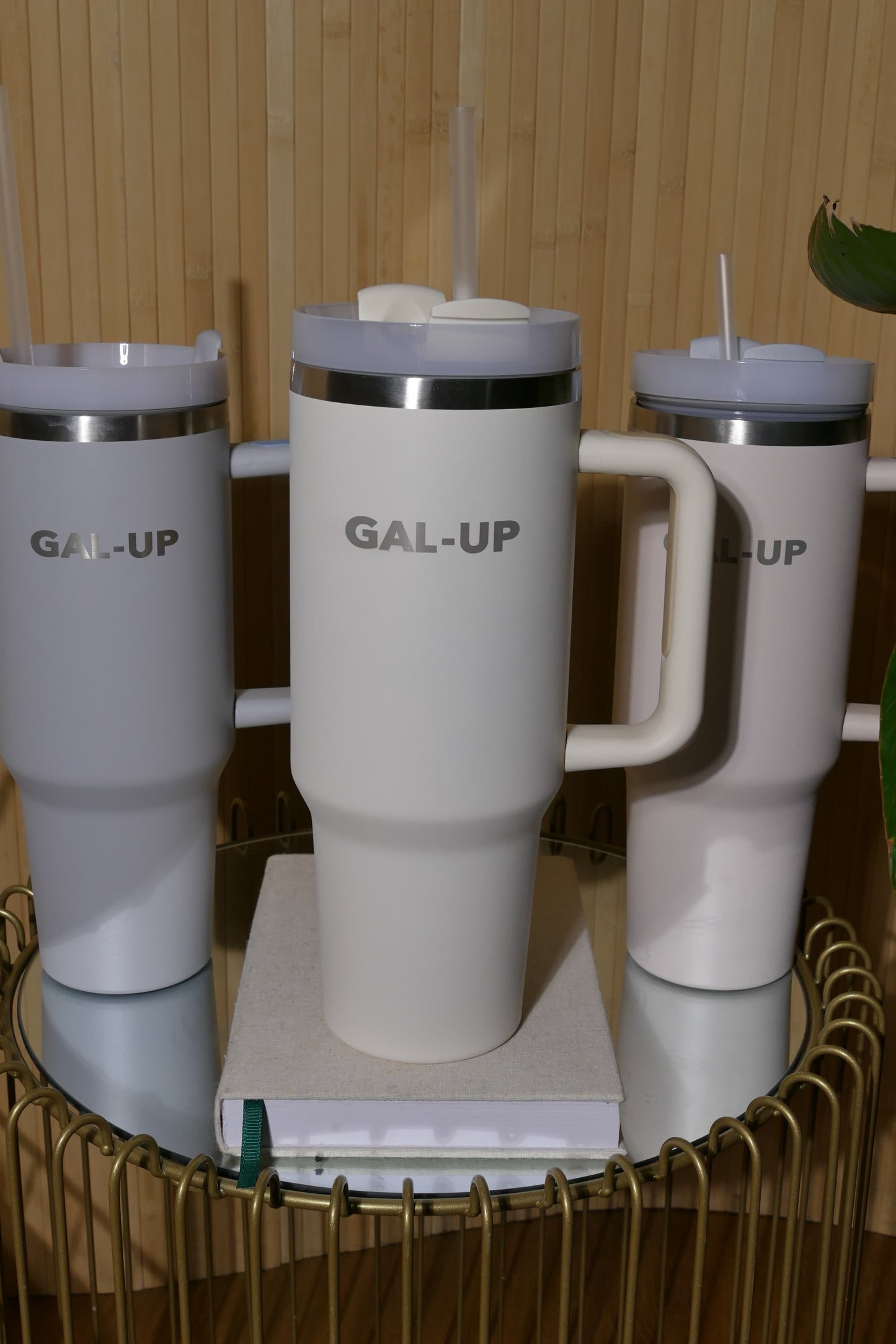 Stainless Steel Water Bottle in Vanilla
