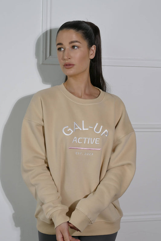 Fleece Lined Sweatshirt In Warm Sand